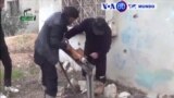 Manchetes Mundo 4 Janeiro 2017: Cessar-fogo violado na Síria