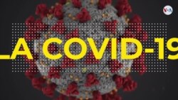 Medicinas y vacunas para tratar la COVID-19