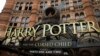 Se lanza octavo libro de la saga Harry Potter