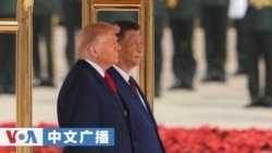 美国之音中文广播 (2026年5月20日)