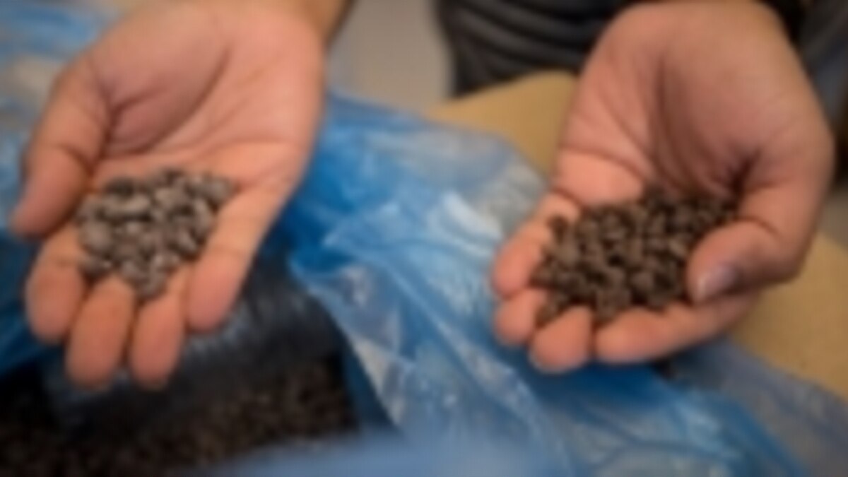 Chocolate con menos calorías