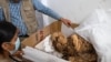 کارشناسان: مومیایی ۸۰۰ ساله پرو متعلق به یک مرد جوان است 