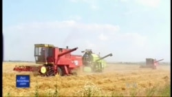 Specialiste nga Kosova mbi sfidat ekonomike