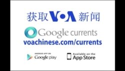 美国之音登场Google Currents