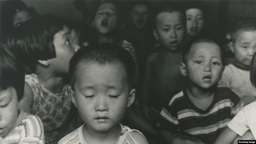 Severodvinskdagi jinsiy qogirchoqlar Godaklar katta xorozlarni sorishadi