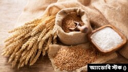বাংলাদেশে খাদ্য-নিরাপত্তা নিশ্চিত করতে আমদানির নির্দেশ। 