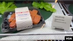 Lab-cultivated salmon o-nigiri