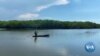 Climate Change Stresses El Salvador’s Mangrove Forests