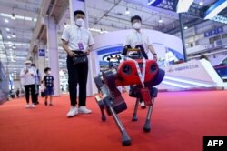 北京举行的2022世界机器人大会上一个四脚机器人在行走。（2022年8月18日）