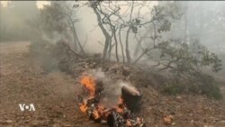 Kurd Connection 04 09 2022