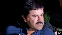 El Chapo