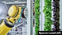 This undated photo shows a Plenty Farms tower robot. Plenty Farms' systems include vertical plant towers, special lighting, and robots to plant, feed, and harvest the crops. (Spencer Lowell/Plenty/Courtesy of Walmart via AP)