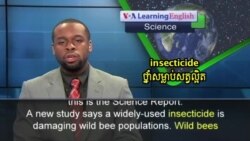 Study: Widely-Used Insecticide is Damaging Wild Bee Populations