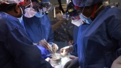 In this photo provided by the University of Maryland School of Medicine, members of the surgical team perform the transplant of a pig heart into patient David Bennett in Baltimore on Friday, Jan. 7, 2022. (Mark Teske/University of Maryland School of Medicine)
