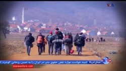 اخبار شامگاهی