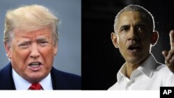 Presiden AS Donald Trump dan mantan Presiden Barack Obama melakukan kampanye pada hari Minggu (4/11). 