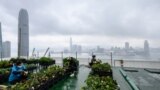 In this picture taken on April 9, 2021, Rooftop Republic urban farmers harvest vegetables grown on a rooftop farm at the top of the 150-metre tall Bank of America tower in Hong Kong