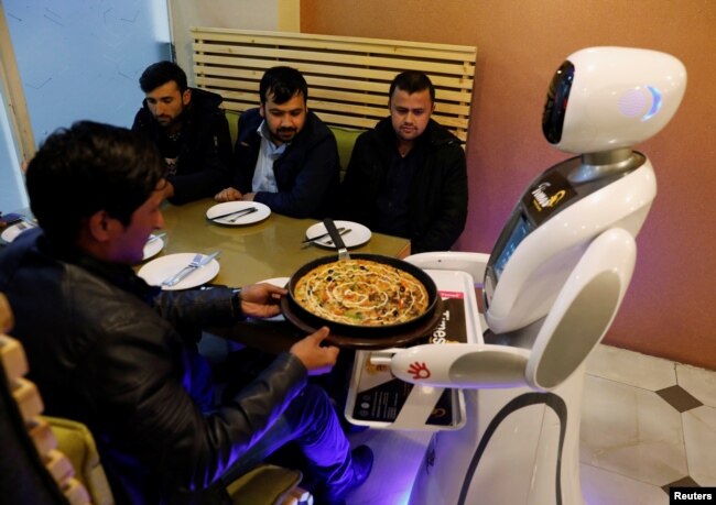 Robot pelayan (Timea) mengantarkan makanan kepada pelanggan di restoran Times Fast Food di Kabul, Afghanistan 11 Februari 2020. (Foto: REUTERS/Mohammad Ismail)
