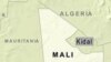 Des milliers de Maliens se réfugient au Niger à cause de la rébellion touareg