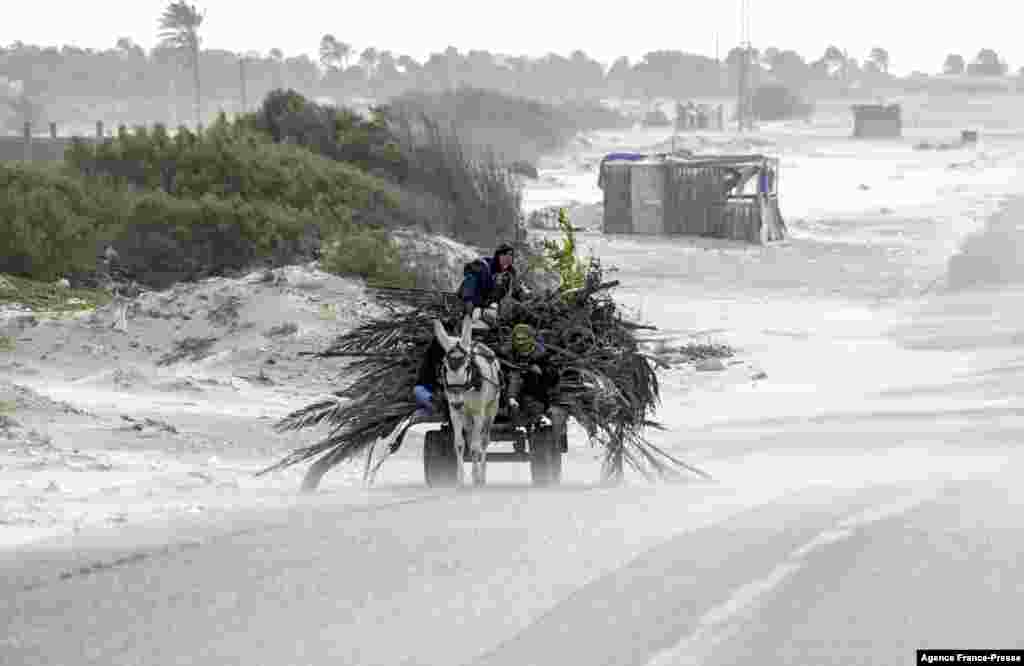 Palestinians transport wood during a windy day in Khan Younis, in the southern Gaza Strip.