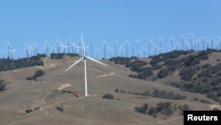 Wind turbines at a wind farm are seen generating power in Tehachapi, California, June 19, 2013..