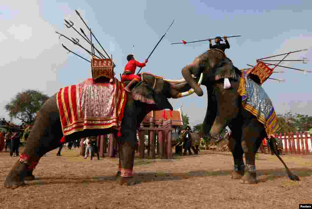 Dua pria Thailand mendemonstrasikan pertarungan dengan naik gajah pada perayaan hari gajah nasional di kota Ayutthaya, utara ibukota Bangkok.