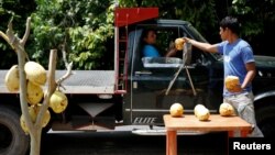 Josue Moreno, 19, gives a coconut to a customer at his street stall in La Fria, Venezuela, June 2, 2016. 