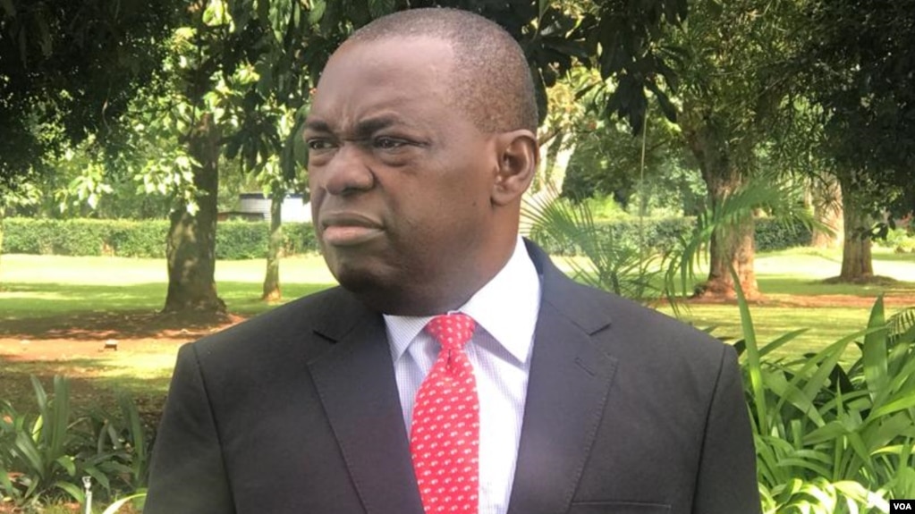 Zimbabwe Foreign Affairs Minister Attacks USA, Calls for Less