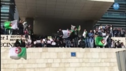 Cezayir'de Buteflika Karşıtı Gösteriler Sürüyor