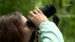 Բնության գրկում թռչուններին հետևելը մեծ տարածում է ստանում կորոնավիրուսի համավարակի ընթացքում. ՄԱՐԴԻԿ ԱՄԵՐԻԿԱՅՈՒՄ