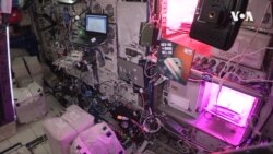 Stories from Space -- USAGM