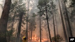 Snimak područja u blizini nacionalnog parka Josemiti u Kaliforniji, 27. avgust, 2013.