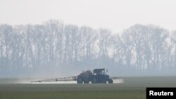 Sebuah traktor bergerak melintasi sebuah lahan gandum di Kyiv untuk menyebarkan pupuk pada 17 April 2020. (Foto: Reuters/Valentyn Ogirenko)