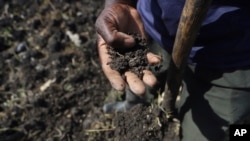 Benson Wanjala sifts through a sample of soil at his farm in Machakos, Kenya, May 21, 2024.