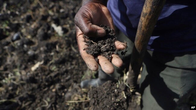 Benson Wanjala sifts through a sample of soil at his farm in Machakos, Kenya, May 21, 2024.