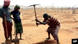 Recently arrived refugees from Somalia dig a grave for 18-month-old Sahro Mohamed, who died of acute severe malnutrition and dehydration, at the Kobe refugee camp, near the Ethiopia-Somalia border, August 12, 2011