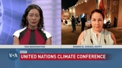 COP27: Pledges and Climate Disaster Funds Assessment