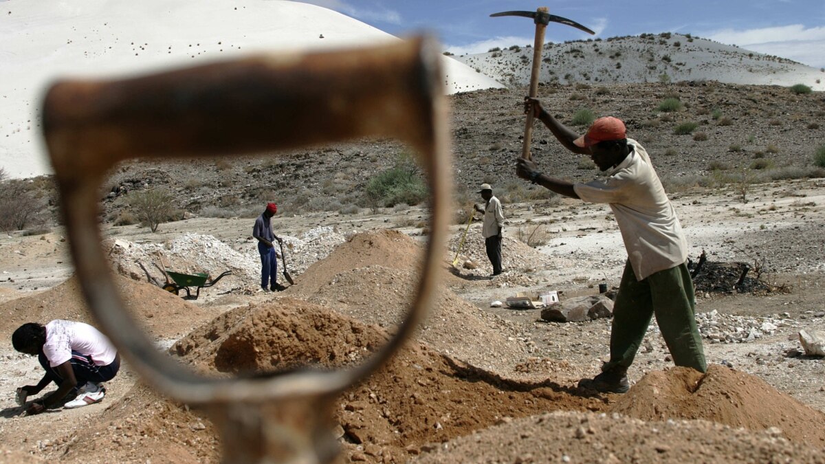 Namibia Restores Chinese Company's Export Permit Despite Bribery Probe - Vimarsana News