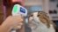 An employee takes the temperature of a cat at the reopened Caturday Cat Cafe, which had been temporarily shuttered due to concerns about the spread of the COVID-19 novel coronavirus, in Bangkok.