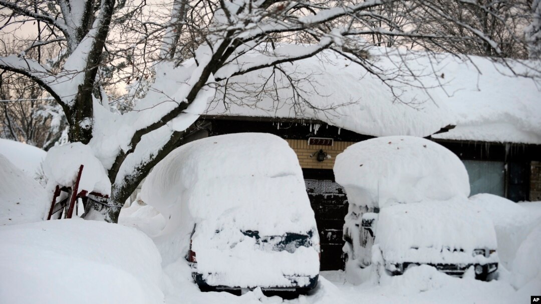 Mobil-mobil yang tertimbun salju di Lancaster, New York (19/11). (AP/Gary Wiepert)