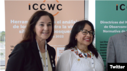 Mónica Medina, subsecretaria de Océanos y Asuntos Ambientales y Científicos de EEUU, e Ivonne Higuero, secretaria general de CITIES. [Twitter @CITES]