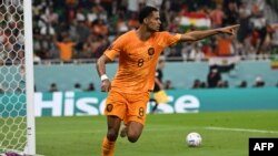 Netherlands' forward Cody Gakpo celebrates after he scored the opening goal during the Qatar 2022 World Cup Group A football match between Senegal and the Netherlands on November 21, 2022.