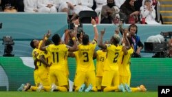 Les joueurs de l'Équateur célèbrent leur premier but marqué par Enner Valencia contre le Qatar dans le groupe A de la Coupe du monde.