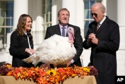 President Joe Biden pardons Chocolate, the national Thanksgiving turkey, at the White House in Washington, Nov. 21, 2022. (AP Photo/Andrew Harnik)