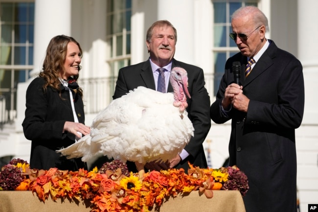 FILE - President Joe Biden pardons Chocolate, the national Thanksgiving turkey, at the White House in Washington, Nov. 21, 2022. (AP Photo/Andrew Harnik)