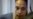 Russian Prison Activist Paints Picture of Life Facing Griner