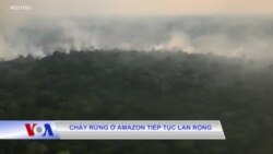 Cháy rừng ở Amazon tiếp tục lan rộng