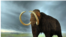 Replika mammoth. (Foto: Smithsonian)