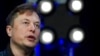 Journalists Say Elon Musk Needs to Reinstitute Monitoring of Twitter