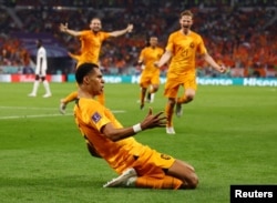 Netherlands' Cody Gakpo celebrates scoring their first goal against Netherlands in the FIFA World Cup Qatar 2022 at Khalifa International Stadium, Nov. 21, 2022.